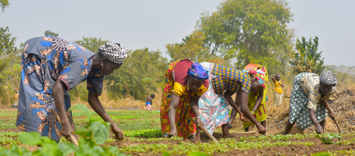 Agri tech un programme de 17 800 dollars US lancé pour la